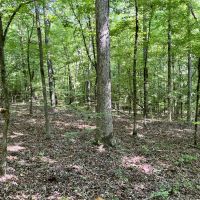 Perfect 62 AC Homesite images 4