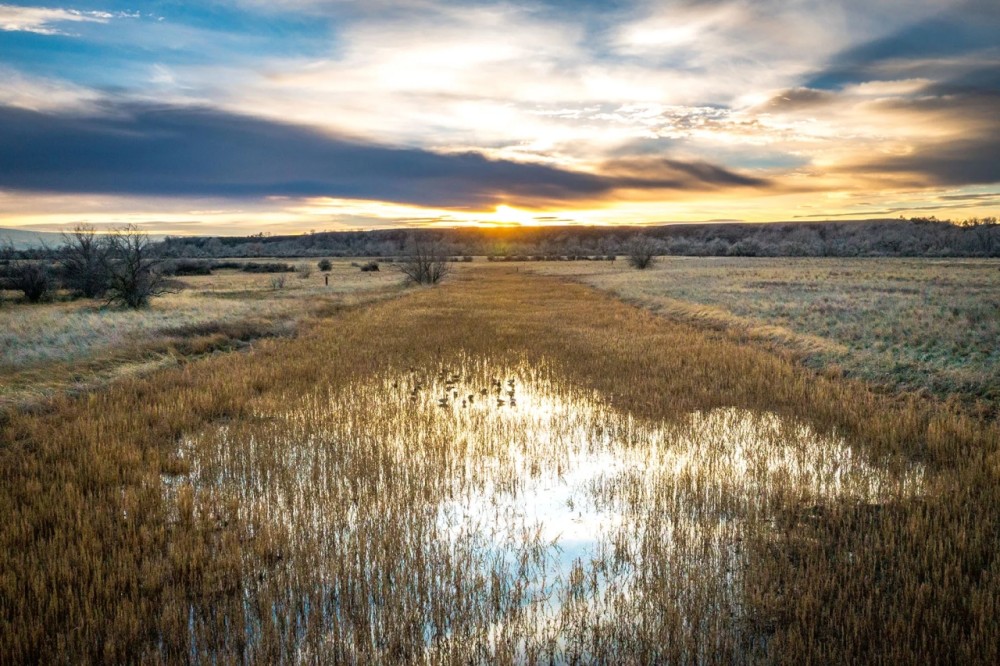 Dry Fly Sporting Ranch featured image