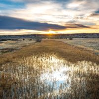 Dry Fly Sporting Ranch