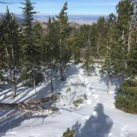 Hunter s Delight images 4
