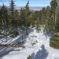 Hunter s Delight images 2