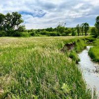 Blue Creek Ranch images 2