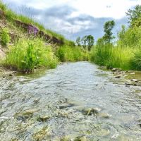 Blue Creek Ranch images 4