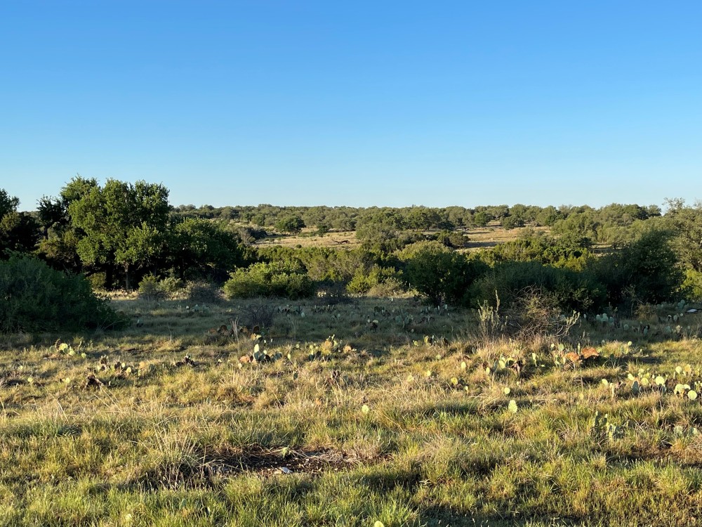 Deer Creek Ranch featured image