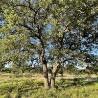 Deer Creek Ranch images 4