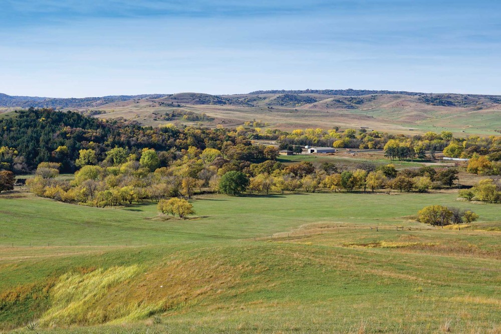 Majestic Ranch featured image