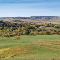 Majestic Ranch