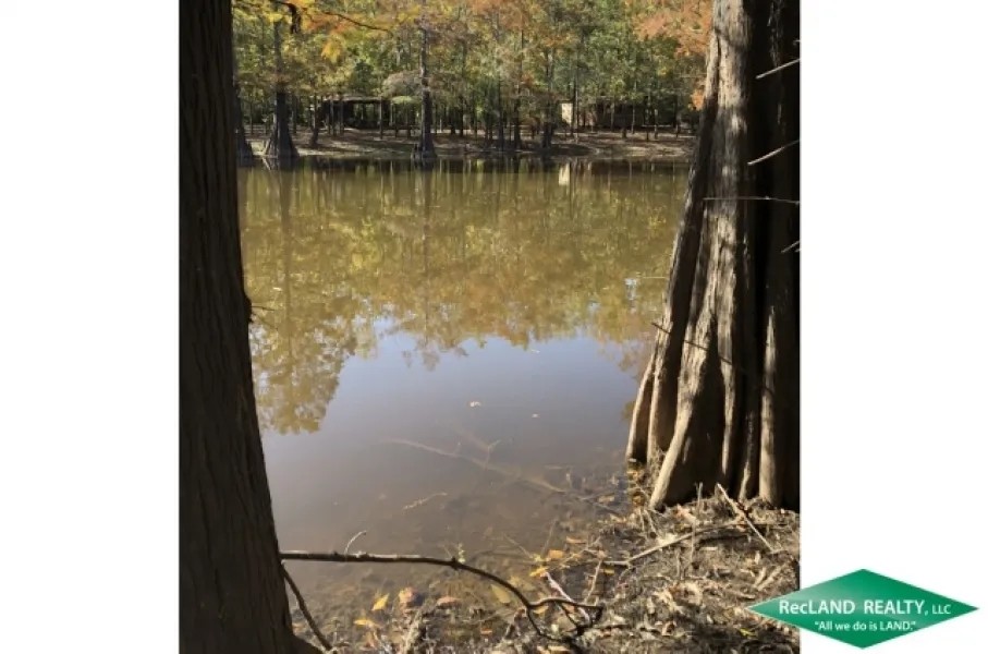 12.5 ac - Waterfront Tract for a Camp - PRICE REDUCED featured image