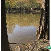 12.5 ac - Waterfront Tract for a Camp - PRICE REDUCED