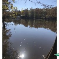 12.5 ac - Waterfront Tract for a Camp - PRICE REDUCED images 2
