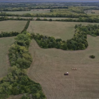 Haverhoney