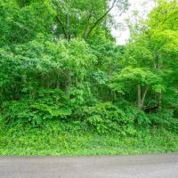 TR 158 - 21 acres - Lawrence County images 2