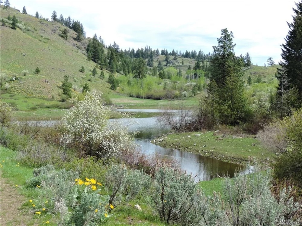 Whisky Mountain Ranch featured image