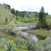 Whisky Mountain Ranch