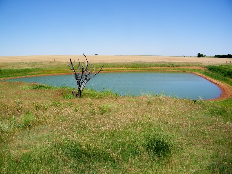 160 Acre Farm Land - Arapaho OK featured image