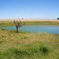 160 Acre Farm Land - Arapaho OK
