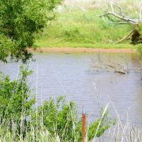 160 Acre Farm Land - Arapaho OK images 3