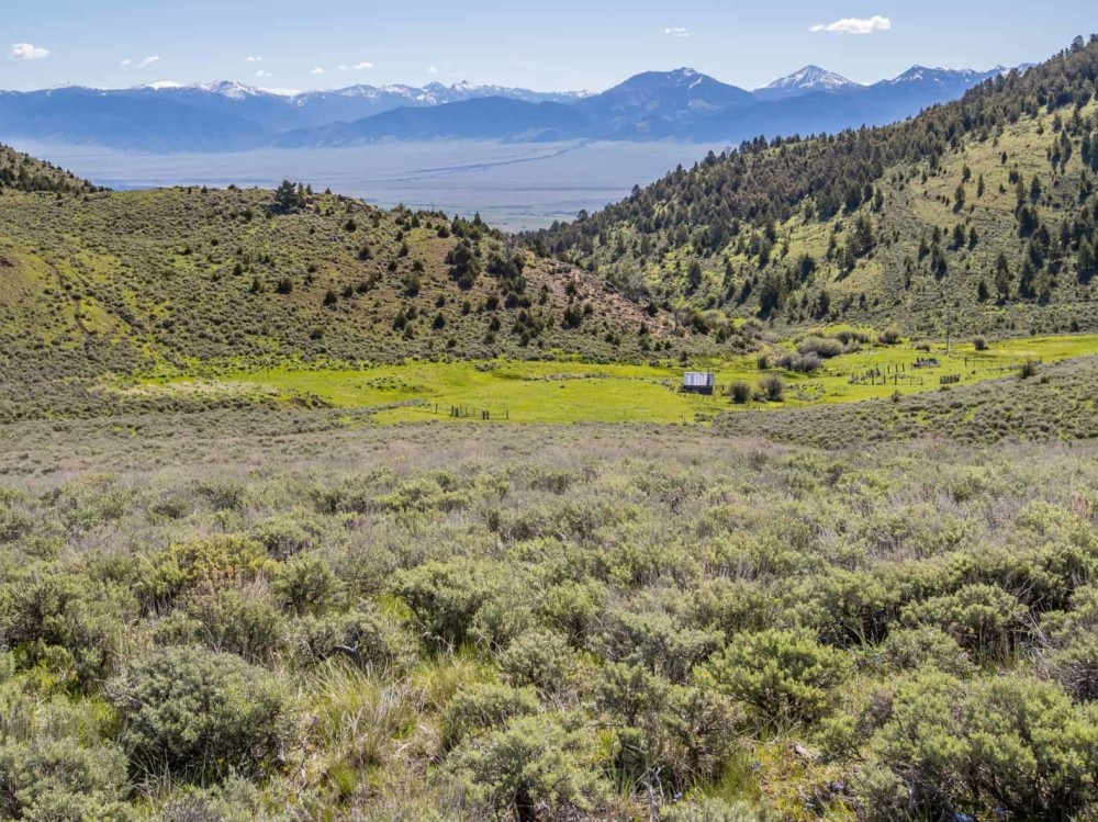 V Timber Creek Ranch featured image