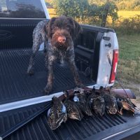 Hunting Rec And Pasture Farm With Gasconade River Frontage images 2