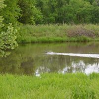 Hunting Rec And Pasture Farm With Gasconade River Frontage images 3