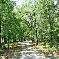 193 Acres with Duck Impoundment images 2