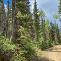 104 Acres available outside of Ouray images 4