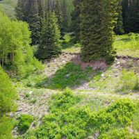 104 Acres available outside of Ouray images 5