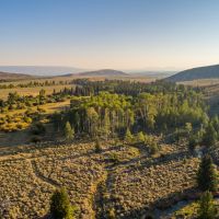 Burnt Fork Ranch images 4