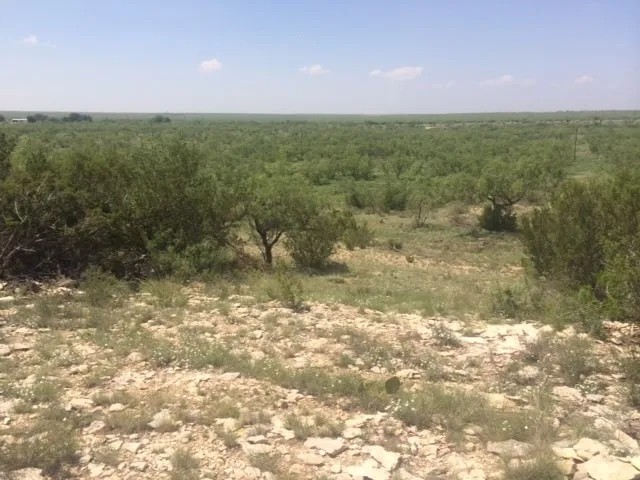 West Texas Land for Sale in Irion County featured image