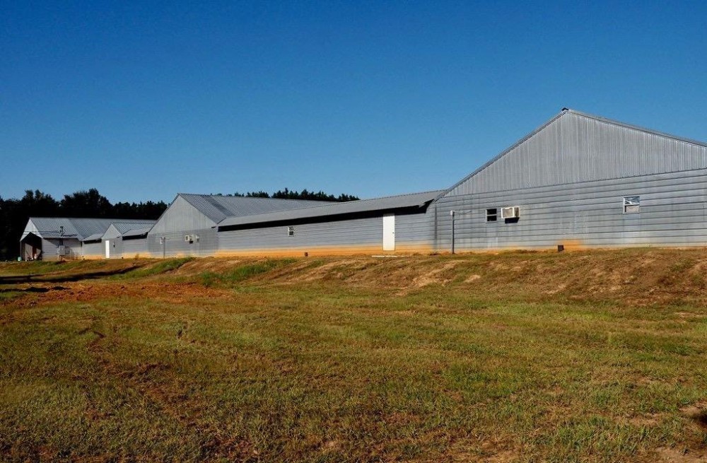 3 House Poultry Breeder Farm Residence 93 acres featured image