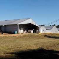 3 House Poultry Breeder Farm Residence 93 acres images 2