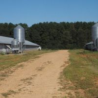3 House Poultry Breeder Farm Residence 93 acres images 3
