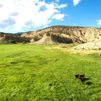 George Creek Ranch Hawkins images 4