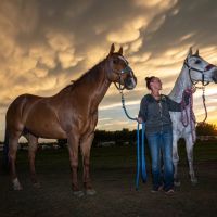 Cottonwood Equestrian Center images 3