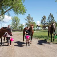 Cottonwood Equestrian Center images 4