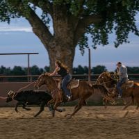 Cottonwood Equestrian Center images 5