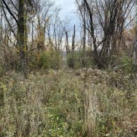 Washington County PA - 83 acres images 2