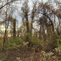 Washington County PA - 83 acres images 3