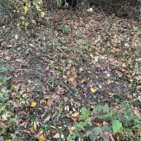 Washington County PA - 83 acres images 4