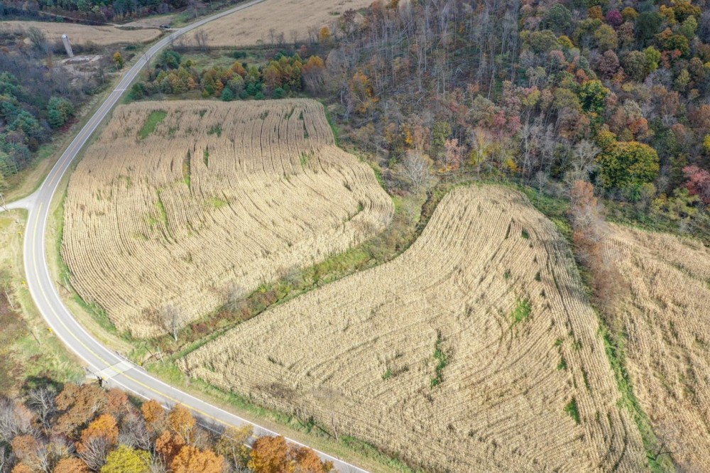 Adamsville Rd Lot 1 - 23 acres - Muskingum County featured image