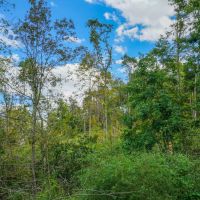 Adamsville Rd Lot 1 - 23 acres - Muskingum County images 4