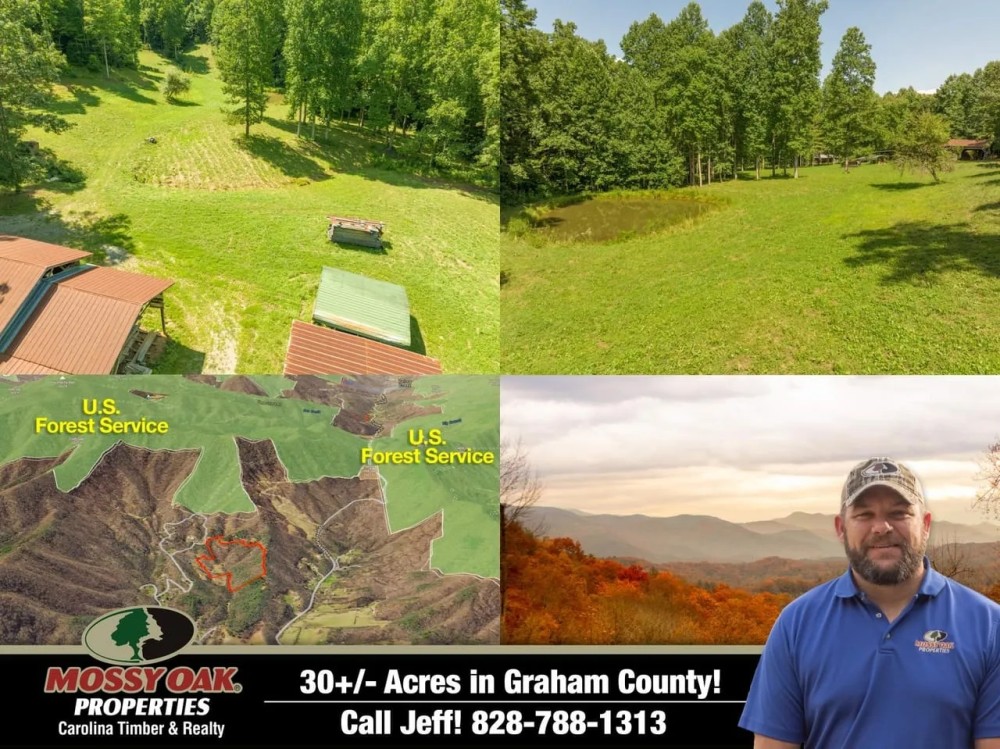 30 - Acres Spectacular Views Great Secluded Location featured image