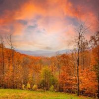 30 - Acres Spectacular Views Great Secluded Location images 4