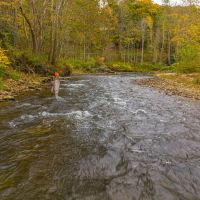 690 - Acre RARE Riverfront Pasture Land images 4