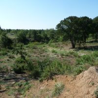 Jack County TX Lease
