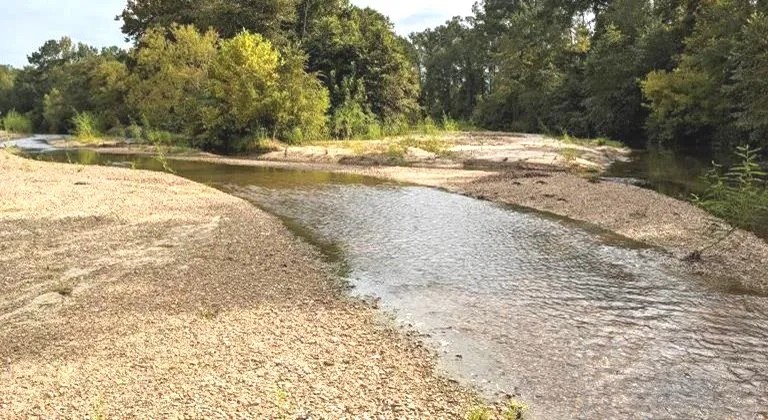 108 Acres in Franklin County in Roxie MS featured image
