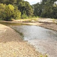 108 Acres in Franklin County in Roxie MS