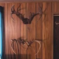 108 Acres in Franklin County in Roxie MS images 5
