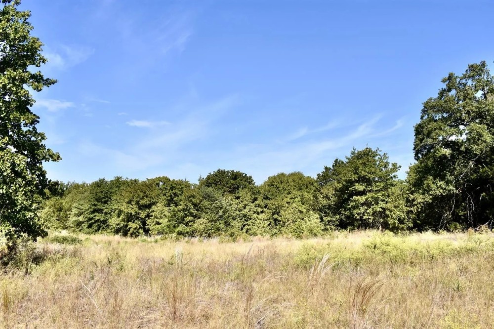 County Road 187 featured image