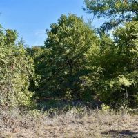 County Road 187 images 2